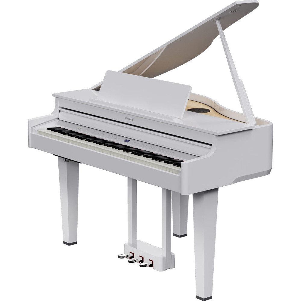 Roland Model GP-6 | M. Steinert & Sons